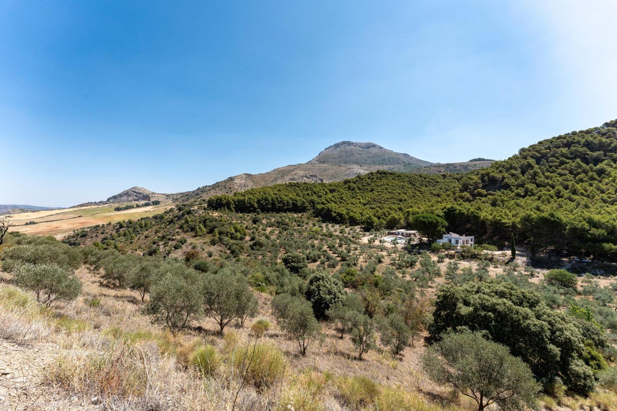 Cortijo La Zahurdilla Yunquera 外观 照片